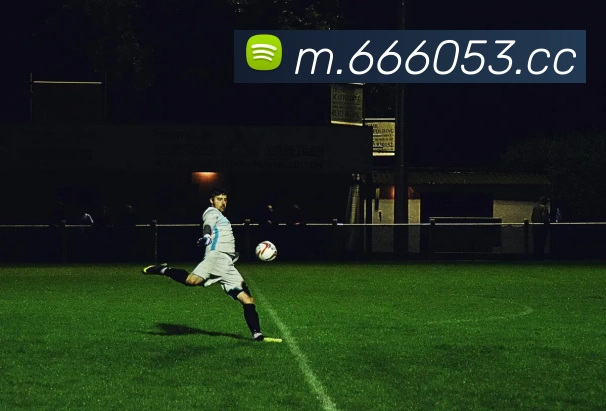 AI Risk Control